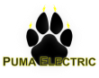 Puma Electric